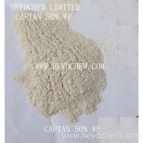 Hot!! Bio pesticide fungicide Captan 50% WP